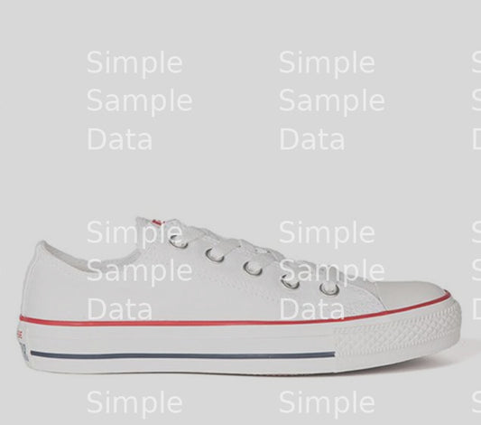 CONVERSE | CHUCK TAYLOR ALL STAR LO